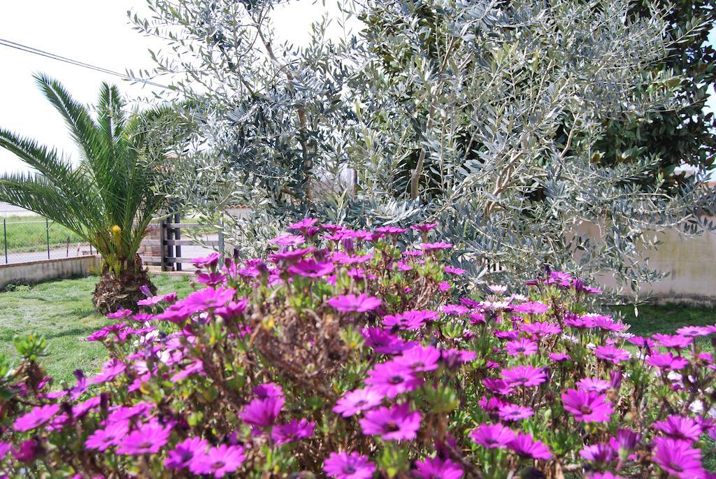 Agriturismo Torre Cristina Априлия Екстериор снимка