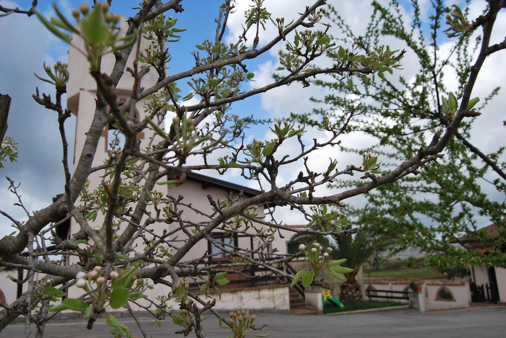 Agriturismo Torre Cristina Априлия Екстериор снимка